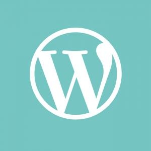 Thiết Kế Website Wordpress - Thiết Kế Website, Wordpress, Mã Nguồn Mở, Website Wordpress, Web Wordpress, SEO Wordpress